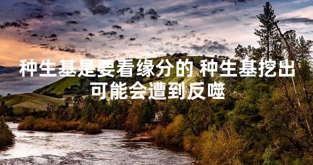种生基是要看缘分的 种生基挖出可能会遭到反噬